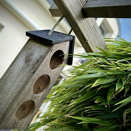 Ker Lodan Jolie Maison 3 Et Terrasse Holiday home *